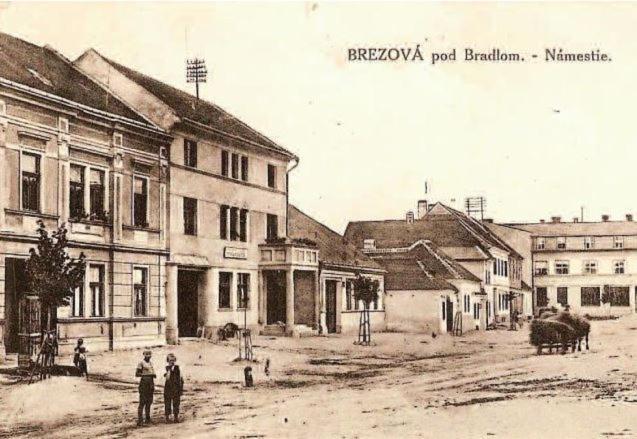 Penzion Tvarozek *** Brezová pod Bradlom Extérieur photo